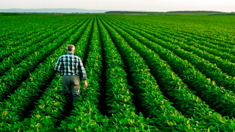 Credit and Crops: Why Farmers Rely on Borrowed Money