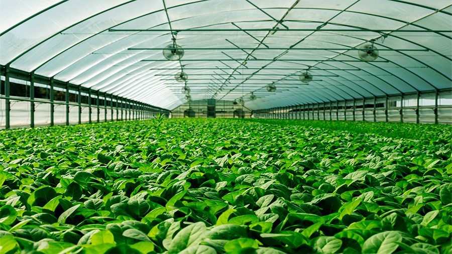 support farming